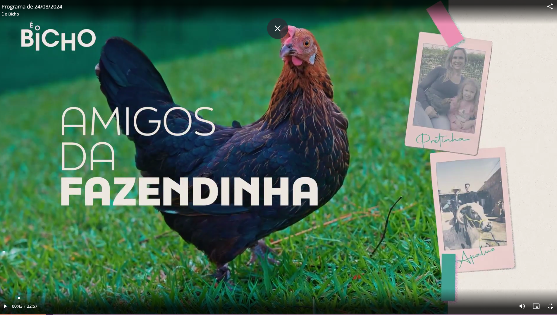 É o Bicho | Programa de Tv | Globoplay e Tv Integração